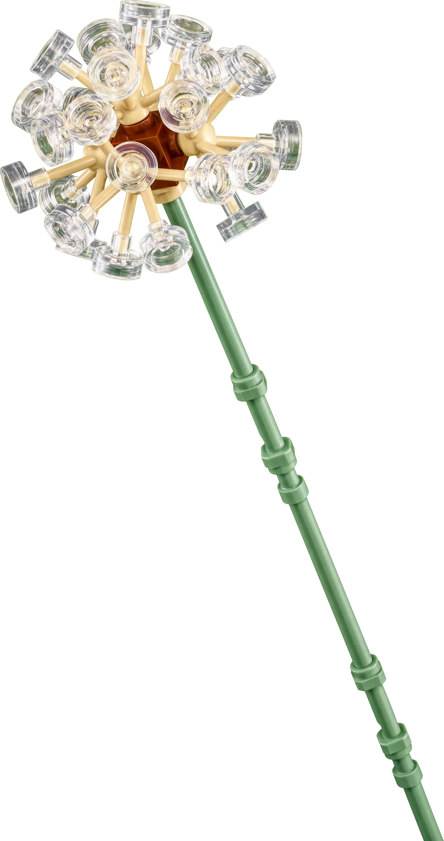 LEGO Wildblumen 30701 Botanische Sammlung