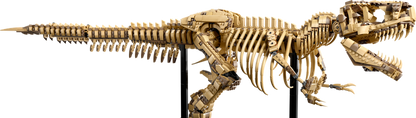 LEGO The T. rex Skelet 76968 Jurassic World