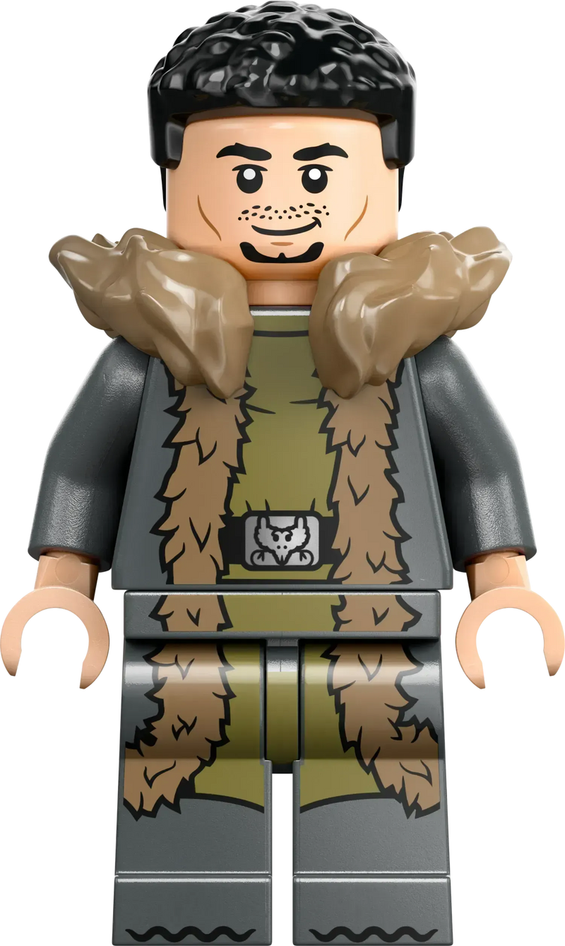 LEGO Toverschool Toernooi: de aankomst 76440 Harry Potter