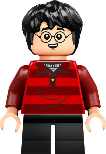 LEGO The Burrow - Collectors' Edition 76437 Harry Potter