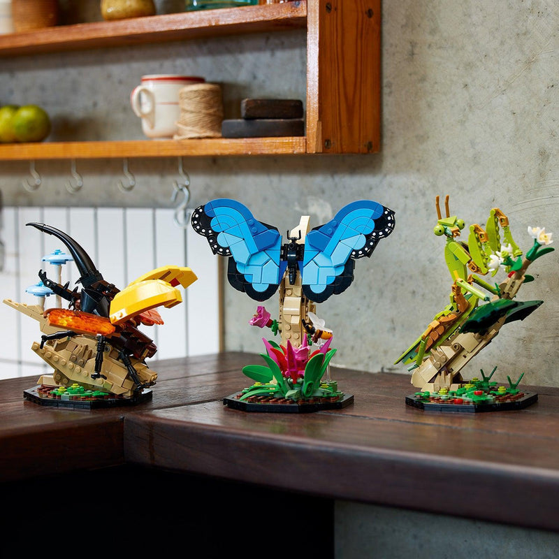 LEGO De insectencollectie 21342 Ideas LEGO IDEAS @ 2TTOYS LEGO €. 84.99