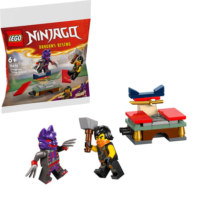 LEGO Toernooi trainingsveld 30675 Ninjago LEGO CREATOR @ 2TTOYS LEGO €. 3.49