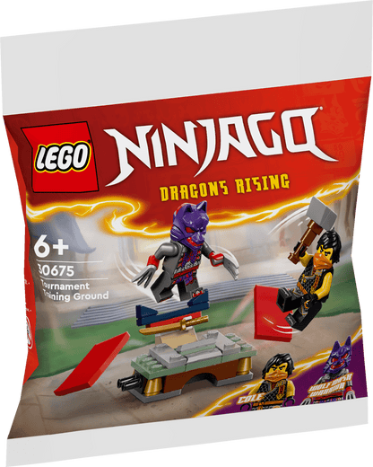 LEGO Toernooi trainingsveld 30675 Ninjago LEGO CREATOR @ 2TTOYS LEGO €. 3.49